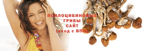 прущие крисы Алексин