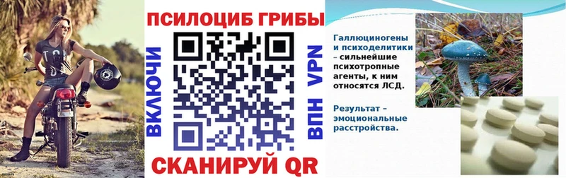 Псилоцибиновые грибы MAGIC MUSHROOMS  KRAKEN онион  Калининск 
